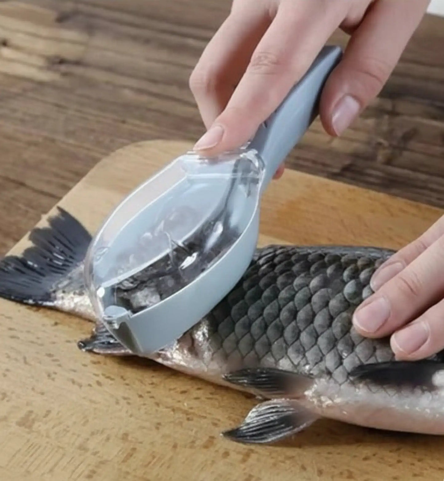 REMOVEDOR DE ESCAMA DE PEIXE